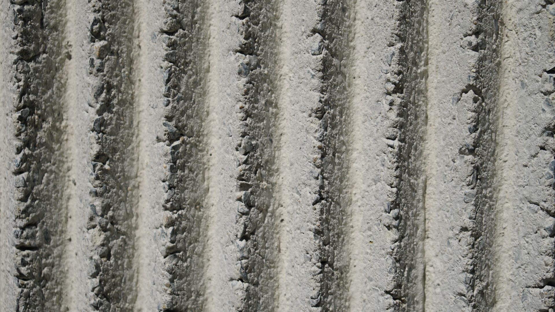 Concrete rib.JPG